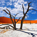 Sosusflėjus, Namibija