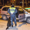 Naktinis policijos reidas