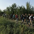 Migrantai pajudėjo link Kroatijos