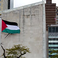 Palestinos vėliava