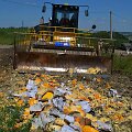 Rusijoje naikinami i&scaron; Vakarų &scaron;alių įvežti maisto produktai