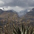 Tirpstantys ledynai Peru