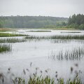 Lietus gaivina gamtą ir merkia praeivius