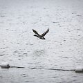 &Scaron;e&scaron;tadienį saulė žmones džiugino neilgai &ndash; ją popiet pakeitė lietus.