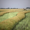 Dirbama žemė Stavropolio kra&scaron;te
