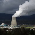 &Scaron;veicarai referendume sprendžia, ar atsisakyti branduolinės energijos.
