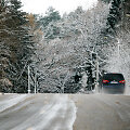 Žiema