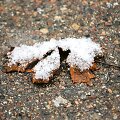 Vilniečiai pro langą i&scaron;vydo pirmąsias snaiges