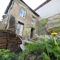 Aplink Pilvelių &scaron;eimos butus Totorių gatvėje dabar sukasi žiurkės