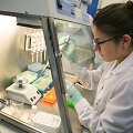 Vilniaus universiteto Biotechnologijos instituto profesoriaus Virginijaus &Scaron;ik&scaron;nio laboratorija