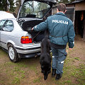 Policijos operacija Vilniaus Kirtimų tabore