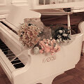 IMG_5223(1)