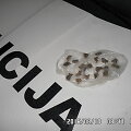 Pas 22 metų jaunuolį rastas 21 mai&scaron;elis su kanapėmis