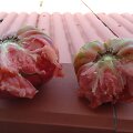 &bdquo;Del Monte&ldquo; pomidorų rū&scaron;is