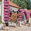 Savaitgalį dvaras paskęs gėlėse
