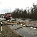 Dėl vėtros medis užtvėrė kelią autostradoje Kaunas&ndash;Vilnius
