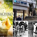 Hačiko