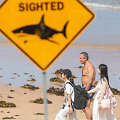 JEREMY PIPER / REUTERS