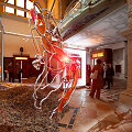 Lietuvos paviljonas Venecijos meno bienalėje