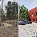 Pilaitės Priegliaus gatvėje kertami medžiai