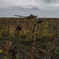 Karas Ukrainoje