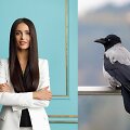 Ievą Daugirdaitę užpuolė varnos