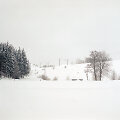 Tado Kazakevičiaus fotografija