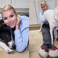 Rūta Mikelkevičiūtė su augintiniais
