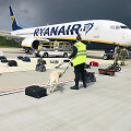 Minske nutupdytas &bdquo;Ryanair&ldquo; lėktuvas