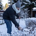 Kaip pasirūpinti augalais žiemą
