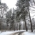 Žiema Verkių regioniniame parke