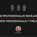 Virtualus detektyvas
