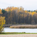 Ruduo Vilniuje