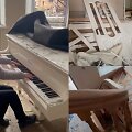 Irina Maniukina ir jos suniokoti namai
