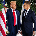 Donaldas Trumpas, Alexanderas Stubbas