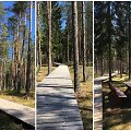 Aplankykite daugiausia mi&scaron;ko takų Vilniaus apylinkėse turintį kaimą &ndash; Saki&scaron;kes