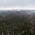 Mi&scaron;kas Panerių seniūnijoje, kurį norima paversti žvyro ir smėlio karjeru