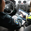 Panevėžio policija fiksavo pėsčiųjų praleidimo tvarkos pažeidimus