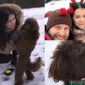 Aistė Pilvelytė su pudeliuke Gile, Paulius Kaupelis