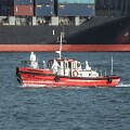 Evakuacija i&scaron; &bdquo;MV Hondius&ldquo; laivo