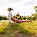 Joga lauke