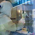 Darbas su ligų sukėlėjais laboratorijoje