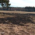 Tel&scaron;ių aplinkosaugininkai atliko reidus dėl&nbsp;žolės ar sodininkystės atliekų deginimo