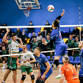 Tinklinio čempionatas