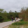 Melnragė