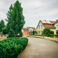 SOS vaikų kainai