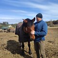 Dariaus Pumpučio ūkis Molėtų rajone