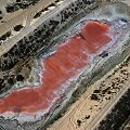 Metų pradžioje raudonai buvo nusidažęs ir Ras Al Khaimah ežeras JAE. Tuomet jo spalvą pakeitė raudonieji dumbliai