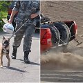 Įtariamųjų ir jų visureigio paie&scaron;ka po moters užpuolimo prie smėlio karjero kol kas vyksta vangiai.