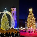 Vilniaus ir Kauno Kalėdų eglės